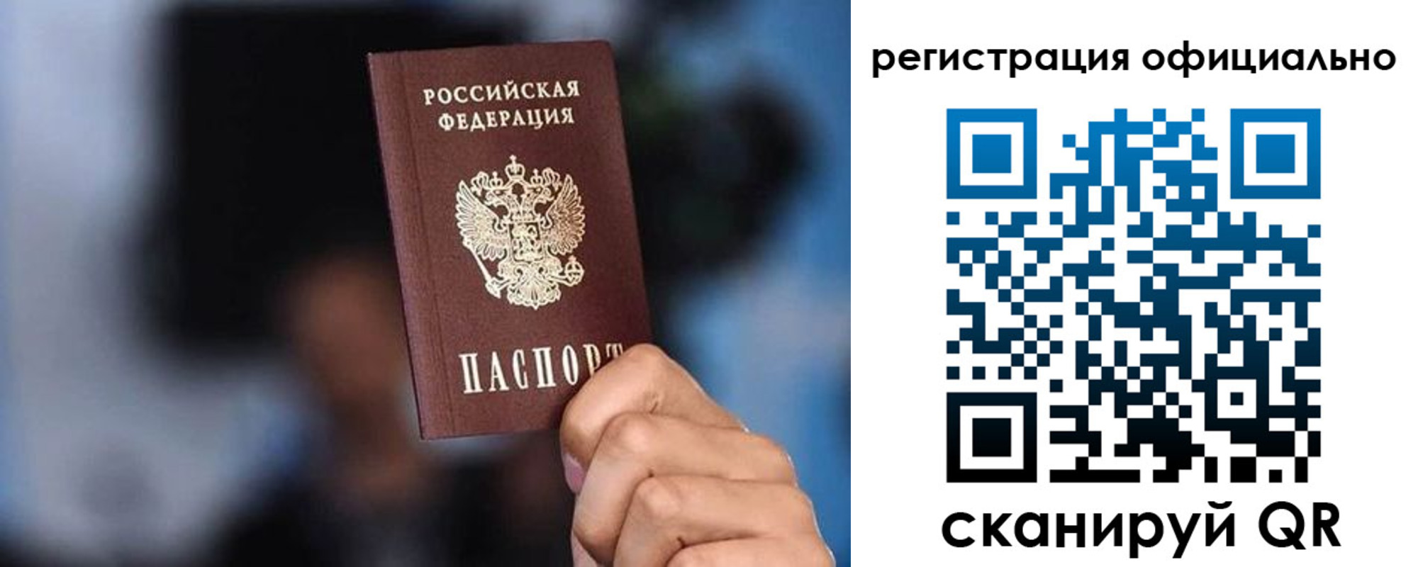 прописка гарантия в Луге